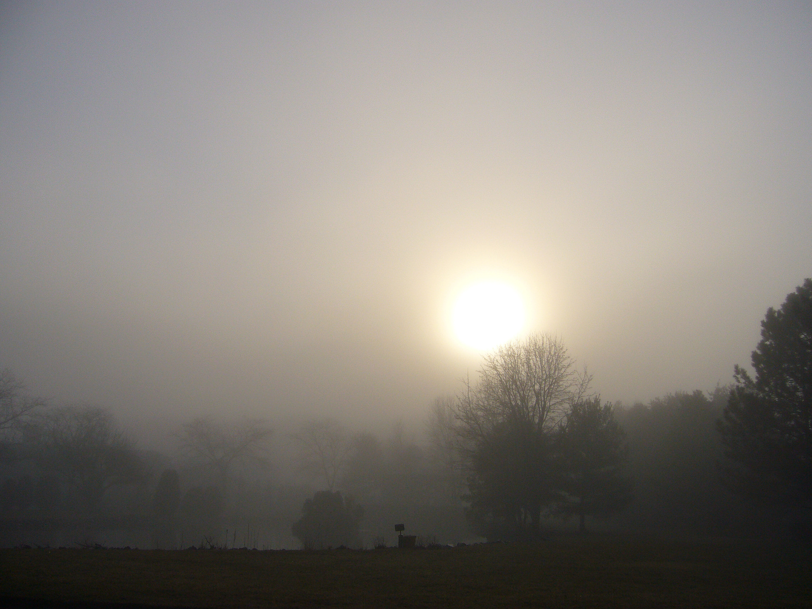 2006 01 cranbury foggyday01