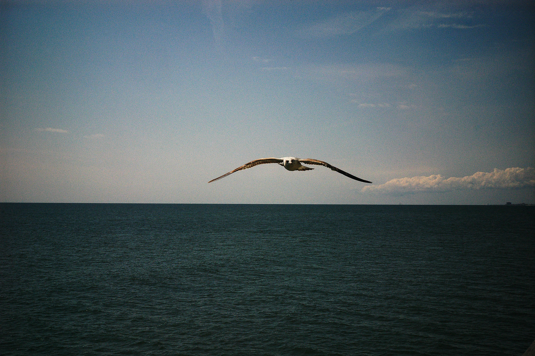 2008 03 atlanticcity boardwalk01 c