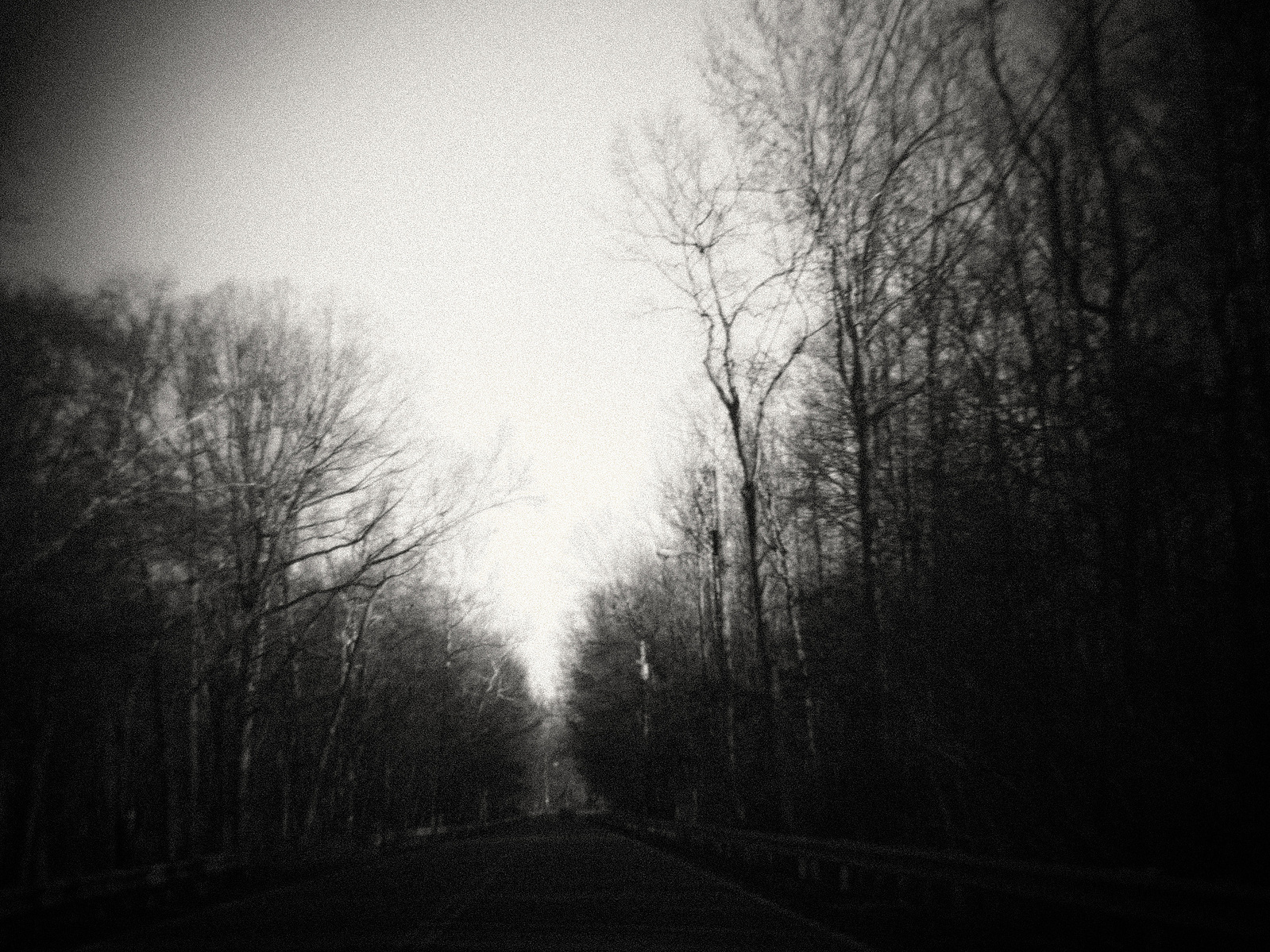 2012 03 cranbury holga01 s
