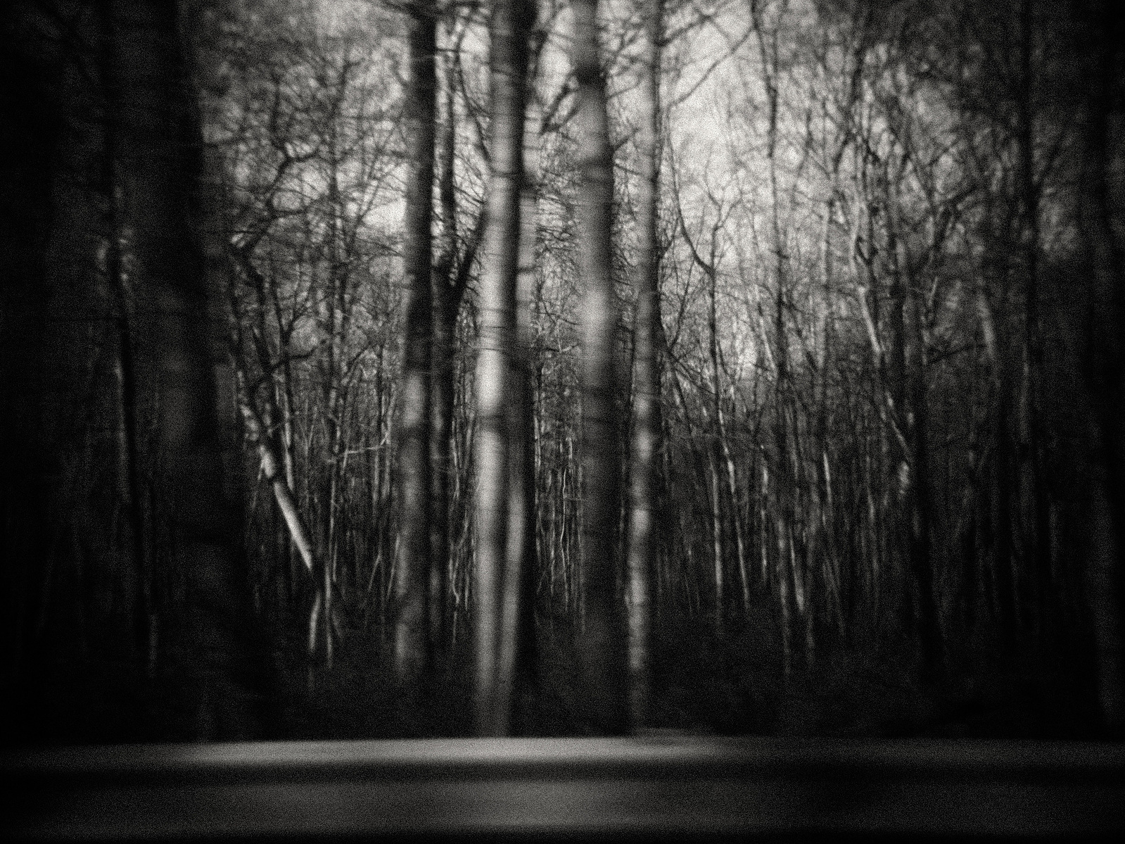 2012 03 cranbury holga02 s