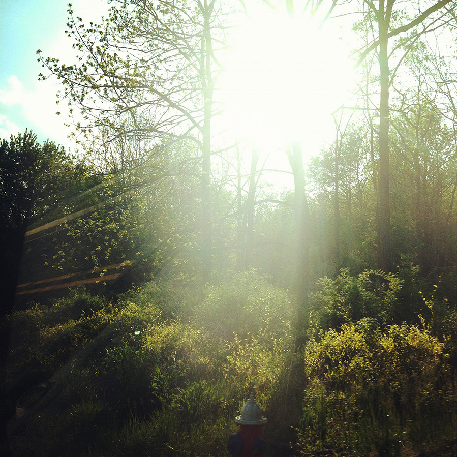 2012 05 manalapan sunshine01
